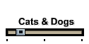 Cats & Dogs