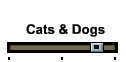 Cats & Dogs